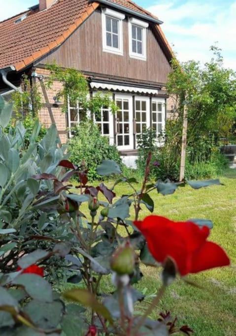 Ferienhaus Gartower See 외부 사진